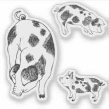 かわいい黒と白の牛の斑点のある手描きの豚