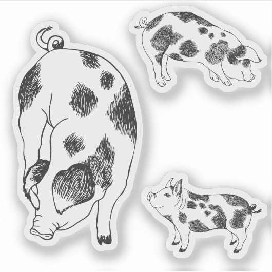 かわいい黒と白の牛の斑点のある手描きの豚 シール (正面)