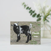 かわいい黒と白の赤ちゃんヤギの写真ありがとう ポストカード (スタンド正面)