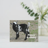 かわいい黒と白の赤ちゃんヤギの写真の誕生日 ポストカード (スタンド正面)