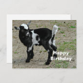 かわいい黒と白の赤ちゃんヤギの写真の誕生日 ポストカード (正面/裏面)