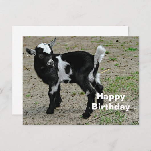 かわいい黒と白の赤ちゃんヤギの写真の誕生日 ポストカード (正面/裏面)