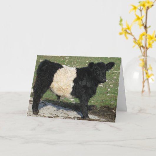 かわいい黒によってギャロウェーのベルトを付けられる子牛 カード (黄色い花)