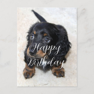かわいい黒のダックスフンドの子犬の誕生日 ポストカード