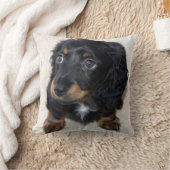 かわいい黒のダックスフンドの子犬 クッション (ブランケット)
