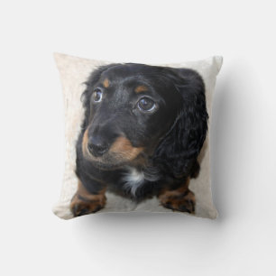 かわいい黒のダックスフンドの子犬 クッション