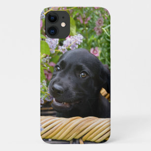 かわいい黒のラブラドールレトリーバー犬の子犬の写真* iPhone 11 ケース