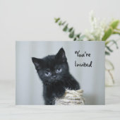 かわいい黒の子猫のトウェイン写真誕生日 招待状 (スタンド正面)