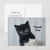 かわいい黒の子猫の麻ひも写真ありがとうございます ポストカード (正面/裏面)