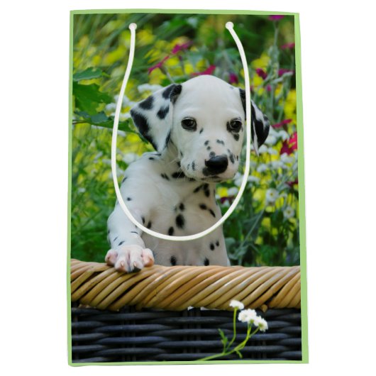 かわいい黒はDalmatianベビー犬の子犬の写真を斑点を付けました ミディアムペーパーバッグ (正面)