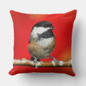 かわいい黒キャップの《鳥》アメリカゴガラと赤い紅葉 クッション (正面)