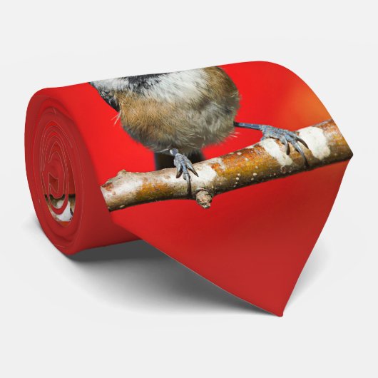 かわいい黒キャップの《鳥》アメリカゴガラと赤い紅葉 ネクタイ (ロール)