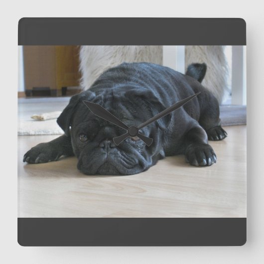 かわいい黒パグの子犬の壁掛け時計 スクエア壁時計 (正面)