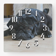 かわいい黒パグの子犬の壁掛け時計