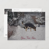 かわいい黒犬とタン犬の冬の雪のシーン ポストカード (正面/裏面)