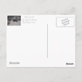 かわいい黒犬とタン犬の冬の雪のシーン ポストカード (裏面)