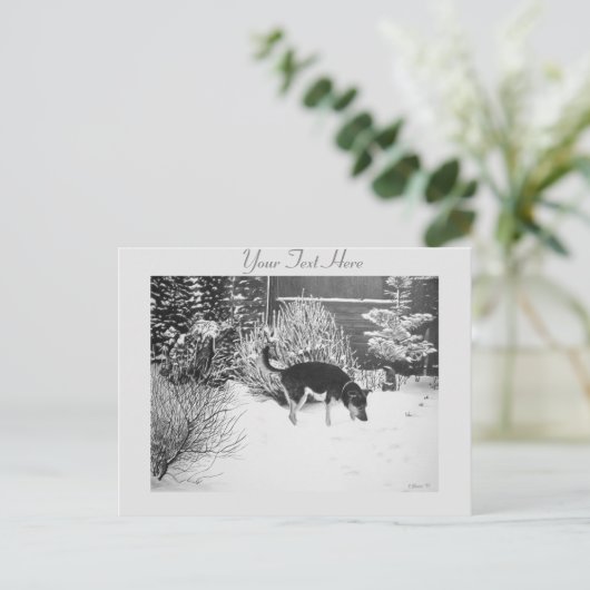 かわいい黒犬とタン犬の冬の雪のシーン ポストカード (スタンド正面)