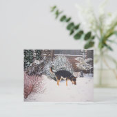 かわいい黒犬とタン犬の冬の雪のシーン ポストカード (スタンド正面)