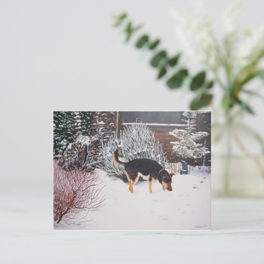 かわいい黒犬とタン犬の冬の雪のシーン ポストカード (スタンド正面)