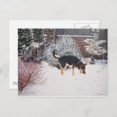 かわいい黒犬とタン犬の冬の雪のシーン ポストカード (正面/裏面)
