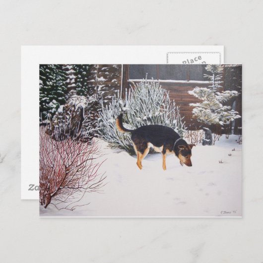 かわいい黒犬とタン犬の冬の雪のシーン ポストカード (正面/裏面)