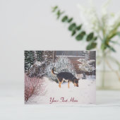 かわいい黒犬と黒犬の冬の雪景色 ポストカード (スタンド正面)