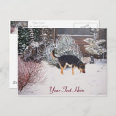 かわいい黒犬と黒犬の冬の雪景色 ポストカード (正面/裏面)