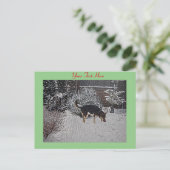 かわいい黒犬と黒犬の冬の雪景色 ポストカード (スタンド正面)
