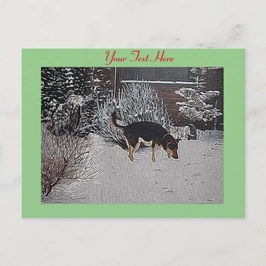 かわいい黒犬と黒犬の冬の雪景色 ポストカード (正面)