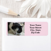 かわいい黒猫と白猫の写真 ラベル (インサイチュ)