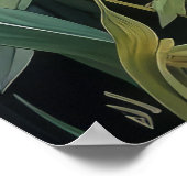 かわいい黒猫と花 ポスター (角)