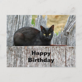 かわいい黒猫のログ写真お誕生日 ポストカード