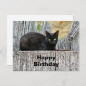 かわいい黒猫のログ写真お誕生日 ポストカード (正面/裏面)