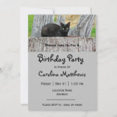 かわいい黒猫のログ写真の誕生日 招待状 (正面)