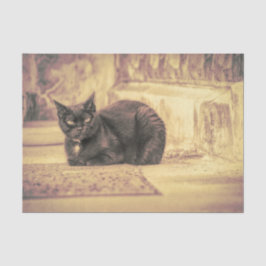 かわいい黒猫のヴィンテージ アンティーク セピア アート 薄葉紙