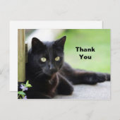 かわいい黒猫の写真ありがとうございます ポストカード (正面/裏面)