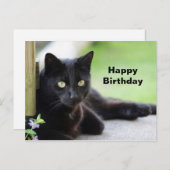 かわいい黒猫の写真の誕生日 ポストカード (正面/裏面)