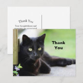 かわいい黒猫の写真 ありがとう ポストカード (正面/裏面)
