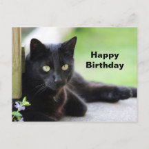 かわいい黒猫の写真 誕生日