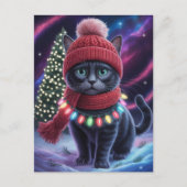 かわいい黒猫の子猫のクリスマス 冬の休日 ポストカード (正面)