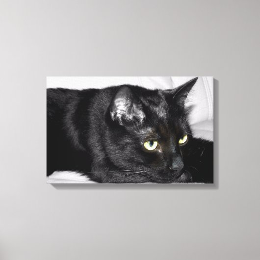 かわいい黒猫の肖像画 キャンバスプリント (正面)