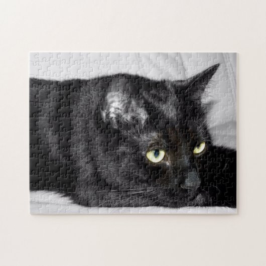 かわいい黒猫の肖像画 ジグソーパズル (横)