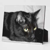 かわいい黒猫の肖像画 フォトプラーク (側面)