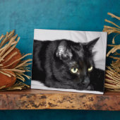 かわいい黒猫の肖像画 フォトプラーク (側面)