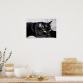 かわいい黒猫の肖像画 ポスター (キッチン)