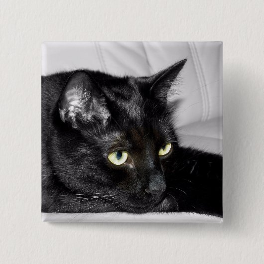 かわいい黒猫の肖像画 缶バッジ (正面)