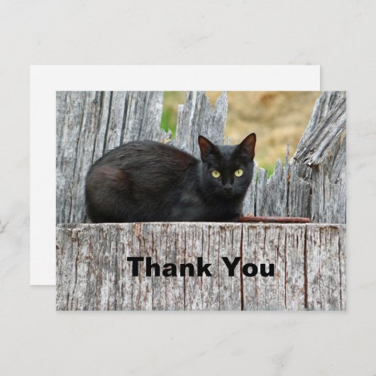 かわいい黒猫ログ写真ありがとう ポストカード (正面/裏面)