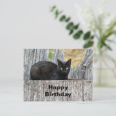 かわいい黒猫ログ写真誕生日 ポストカード (スタンド正面)