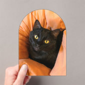 かわいい黒猫 アクリル招待状 (インサイチュ (ポータブル))