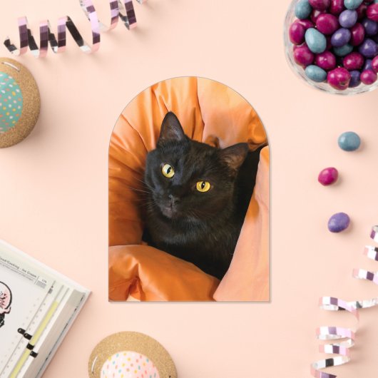 かわいい黒猫 アクリル招待状 (インサイチュ (お祝い))